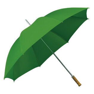 Regenschirm Grün