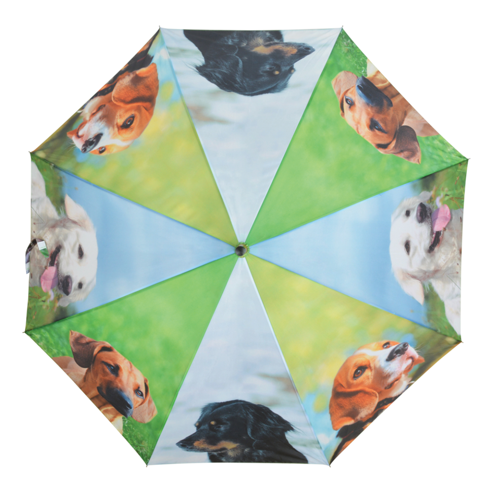 Regenschirm Hunde