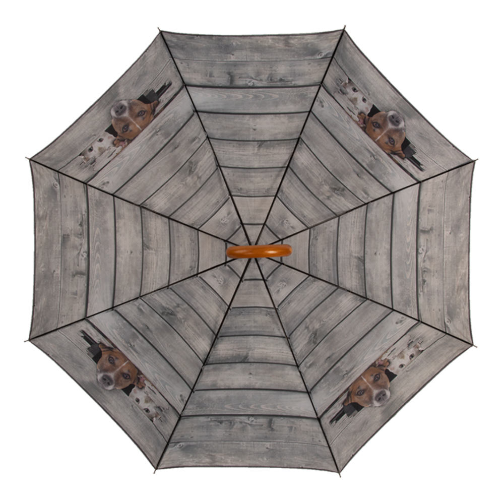 regenschirm hunde und katze