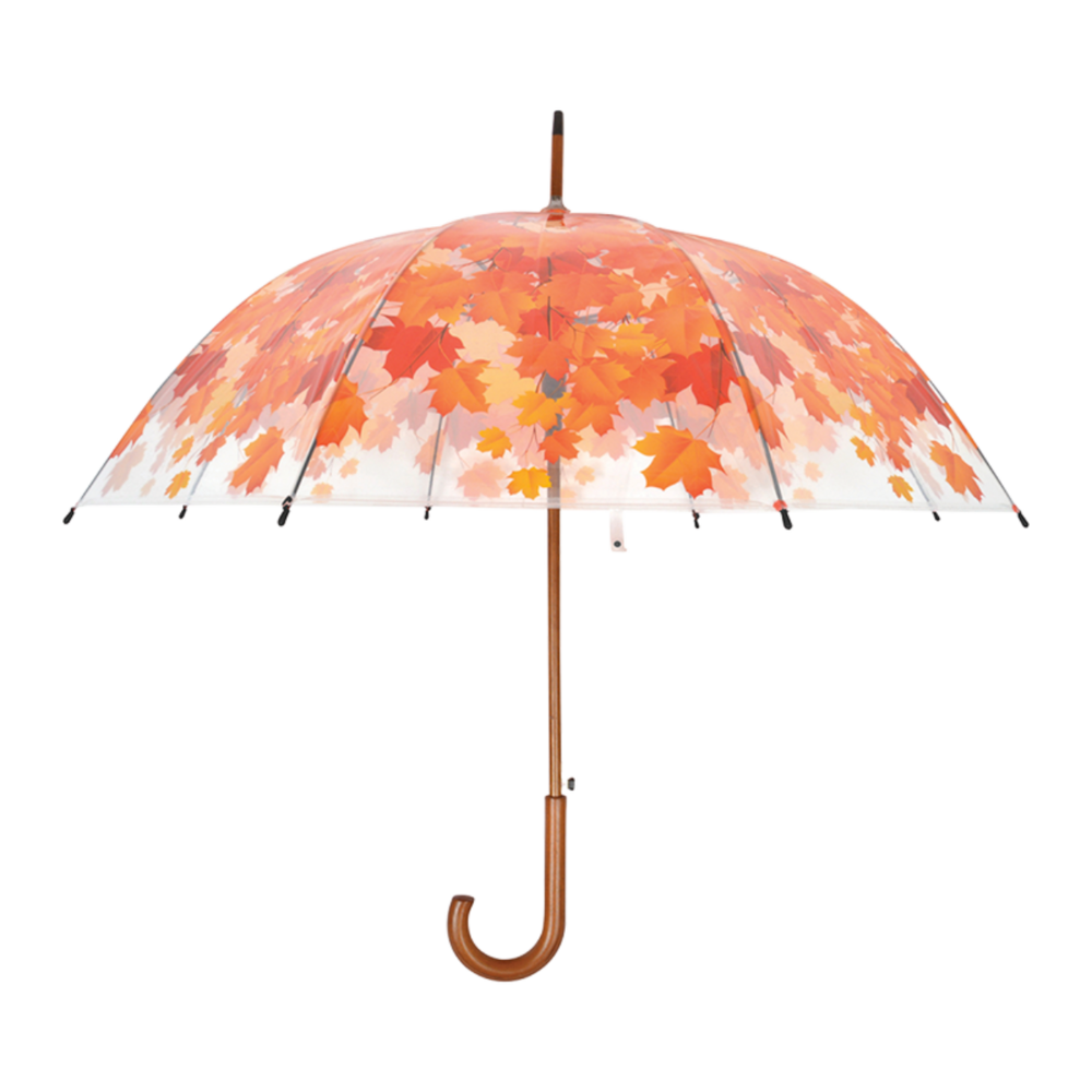 regenschirm herbst baum