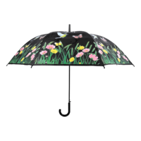 REGENSCHIRM V&Ouml;GEL MIT FARBWECHSEL