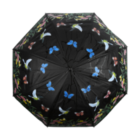 REGENSCHIRM V&Ouml;GEL MIT FARBWECHSEL