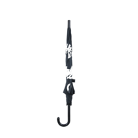 NEU - NEU - NEU- KINDERREGENSCHIRM Cham&auml;leon MIT FARBWECHSEL