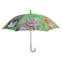 Regenschirm Katzen