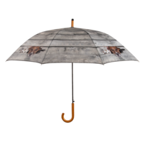 hunde und katze regenschirm