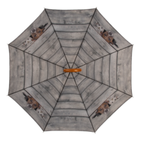 regenschirm hunde und katze