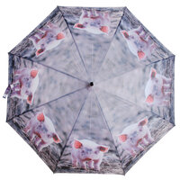 Schweinchen Regenschirm