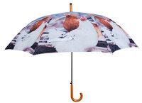 H&uuml;hner Regenschirm 