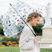 durchsichtige regenschirm katze