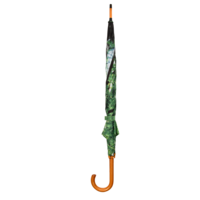 Regenschirm Baumkrone