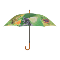 Schmetterlingsschirm mit Holzgriff