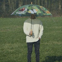 Regenschirm Schmetterlinge