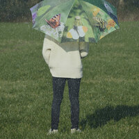Regenschirm Schmetterlinge