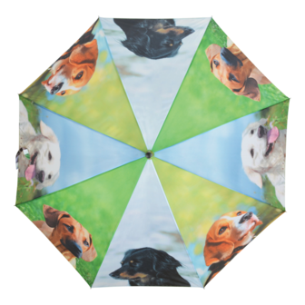 Regenschirm Hunde