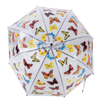 regenschirm schmetterling