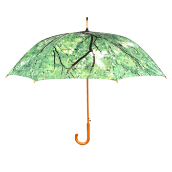 Regenschirm baumkrone