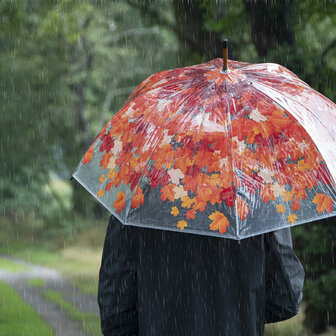 Herbst baumkrone regenschirme