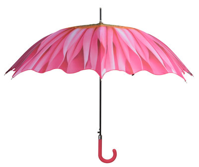 Regenschirm mit Rosa Blume