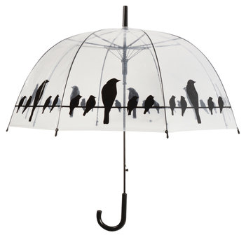 Durchsichtiger Regenschirm - Vögel