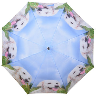 Hunde Regenschirm - Weiß