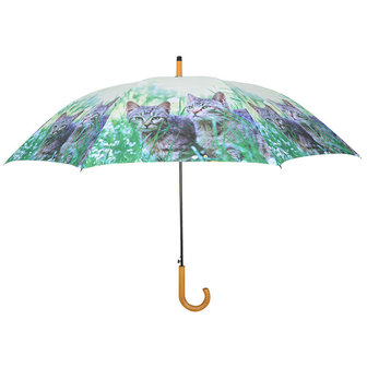 Regenschirm 2 Katzen - Grau