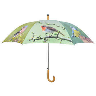 Regenschirm Vögel