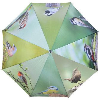 Regenschirm V&ouml;gel