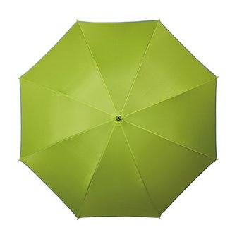 Reflektierender Golfregenschirm Grün