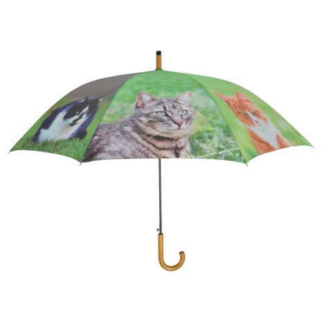 Regenschirm Katzen