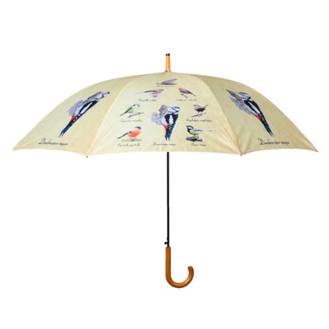Regenschirm Vögeln