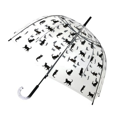 Regenschirm katze