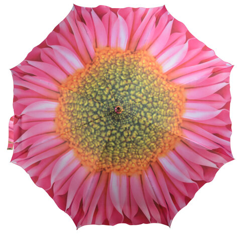 Paraplu Roze Bloem 