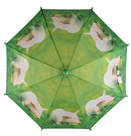 Kinderregenschirm Schweinchen