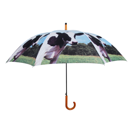  Kuh Regenschirm 