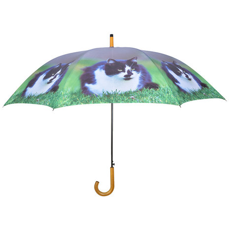 Katze Regenschirm - schwarz/weiß