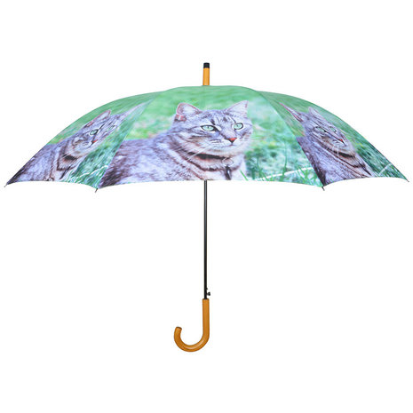 Katze Regenschirm - Grau
