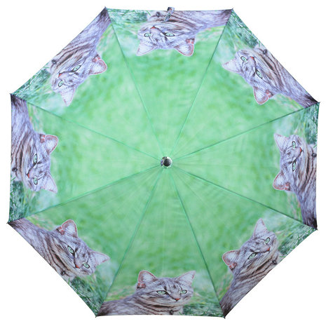 Katze Regenschirm - Grau