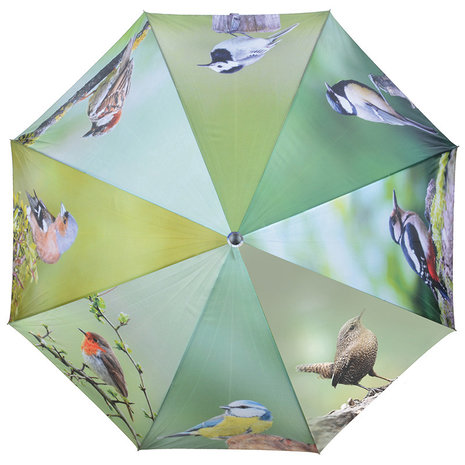 Regenschirm Vögel