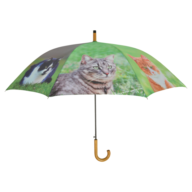 Regenschirm Katzen