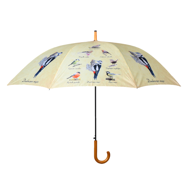 Regenschirm V&ouml;geln