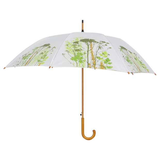 regenschirm kr&auml;uter