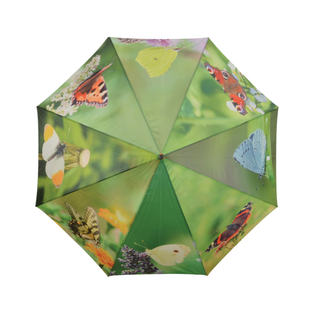 Regenschirm Schmetterlinge