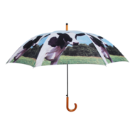  Kuh Regenschirm 