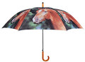 Pferde Regenschirm