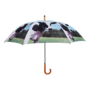  Kuh Regenschirm 