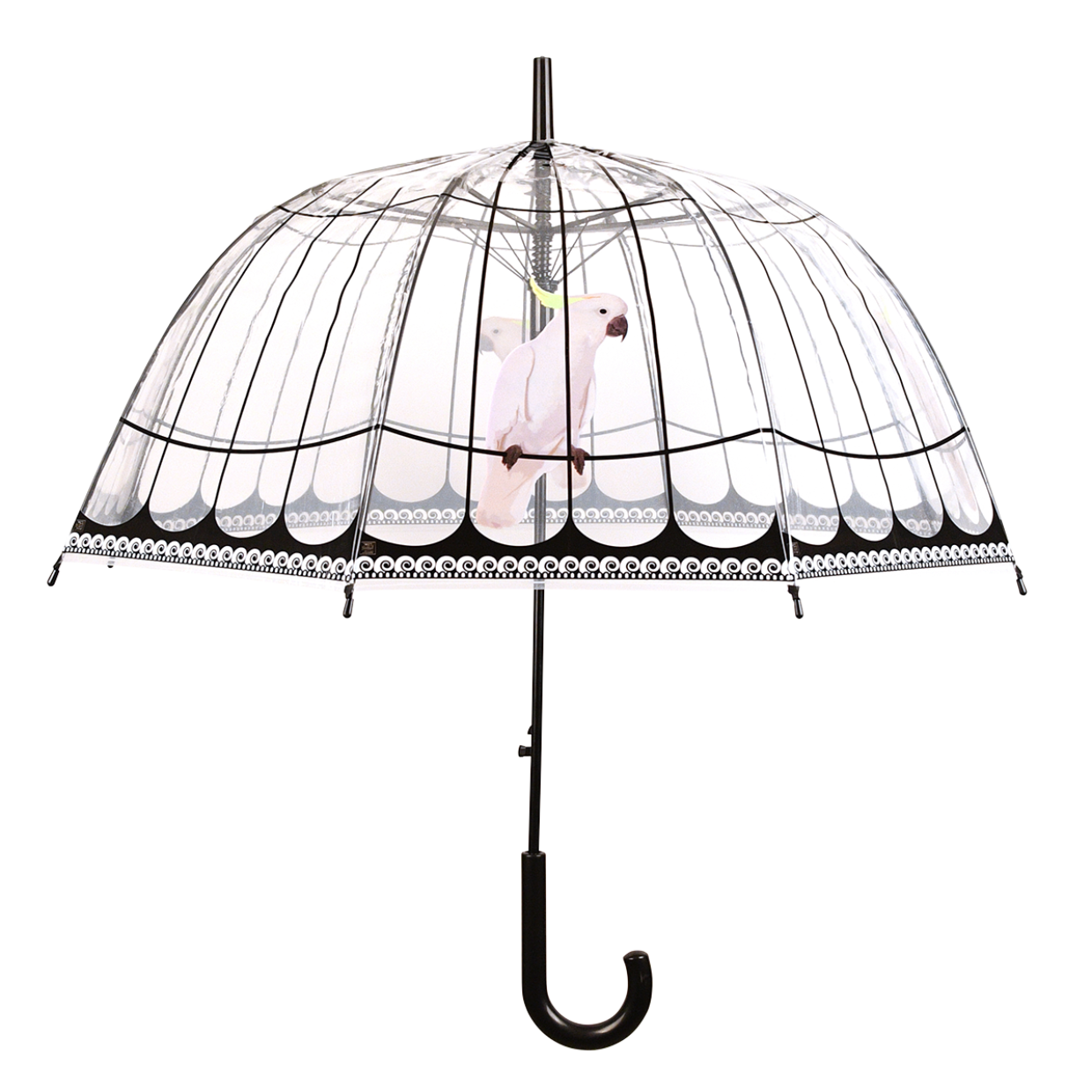 Transparent Vogelkäfig/Kuppelförmiger durchsichtiger Regenschirm mit Bordüre Schwarz 