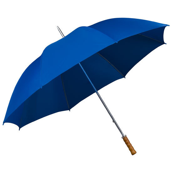 Blauer Regenschirm Blau - Regenschirme Online Bestellen