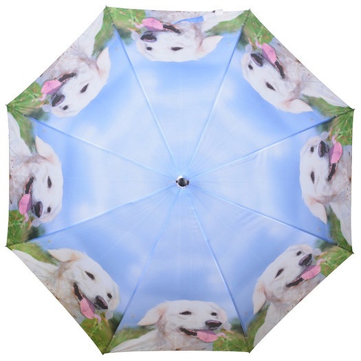 Hunde Regenschirm Weiß Regenschirme Online Bestellen