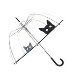 Durchsichtiger Regenschirm Katze