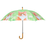 Katze Regenschirm - Orange_